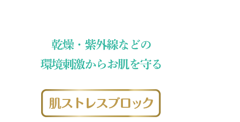 乾燥・紫外線などの環境刺激からお肌を守る