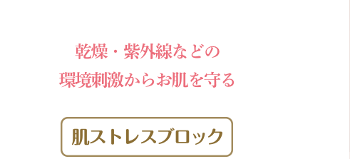 乾燥・紫外線などの環境刺激からお肌を守る