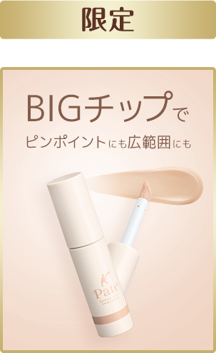 BIGチップでピンポイントにも広範囲にも