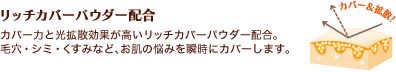 リッチカバーパウダー配合