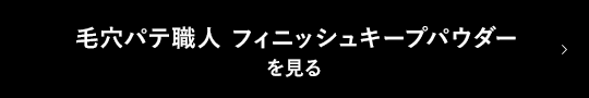 毛穴パテ職人 フィニッシュキープパウダーを見る
