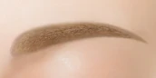ナチュラルブラウンの眉毛カラーサンプル