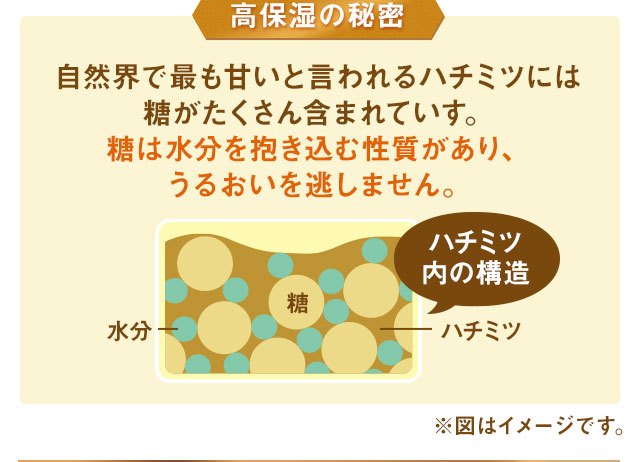 高保湿の秘密自然界で最も甘いと言われるハチミツには糖がたくさん含まれていす。糖は水分を抱き込む性質があり、うるおいを逃しません。