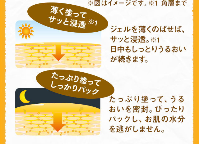 ジェルを薄くのばせば、サッと浸透。日中もしっとりうるおいが続きます。たっぷり塗って、うるおいを密封。ぴったりパックし、お肌の水分を逃がしません。