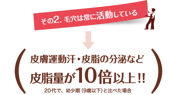 その2．毛穴は常に活動している