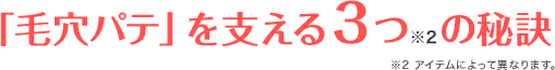 「毛穴パテ」を支える３つ※2の秘訣