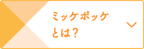 ミッケポッケ とは？